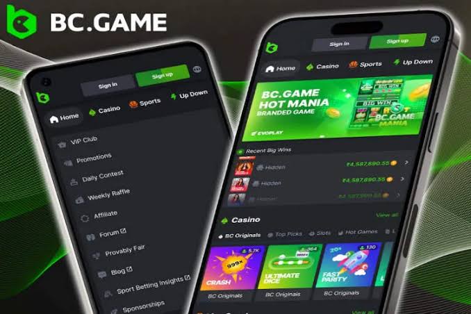 Understanding Contacts in BC Game A Comprehensive Guide Understanding Contacts in BC Game A Comprehensive Guide